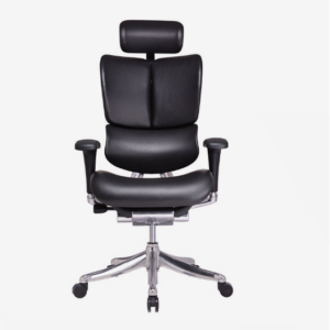 Fotel biurowy ergonomiczny Ergofly FLY L BLACK