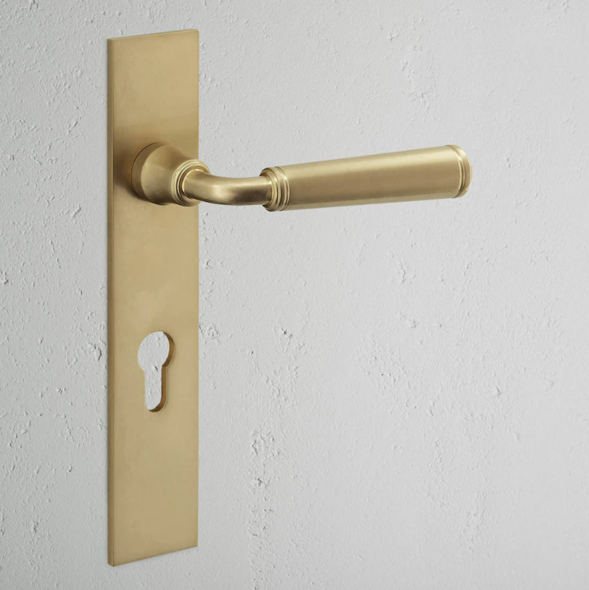 Digby klamka do drzwi ze sprężyną, długim szyldem i profilem Euro mosiądz