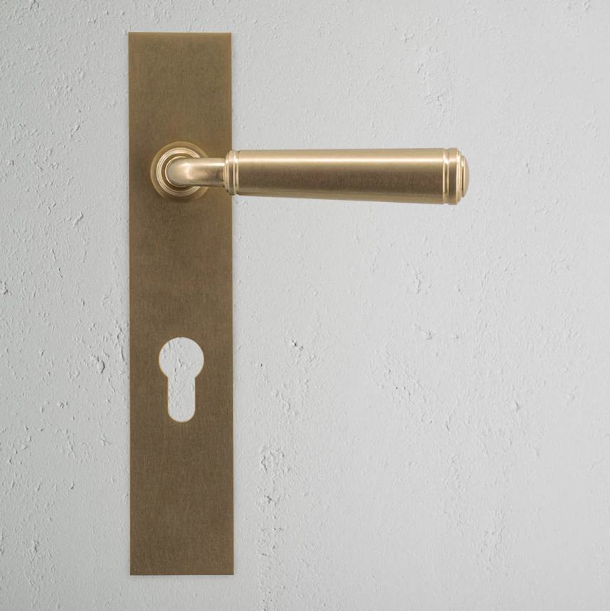 Digby klamka do drzwi ze sprężyną, długim szyldem i profilem Euro mosiądz